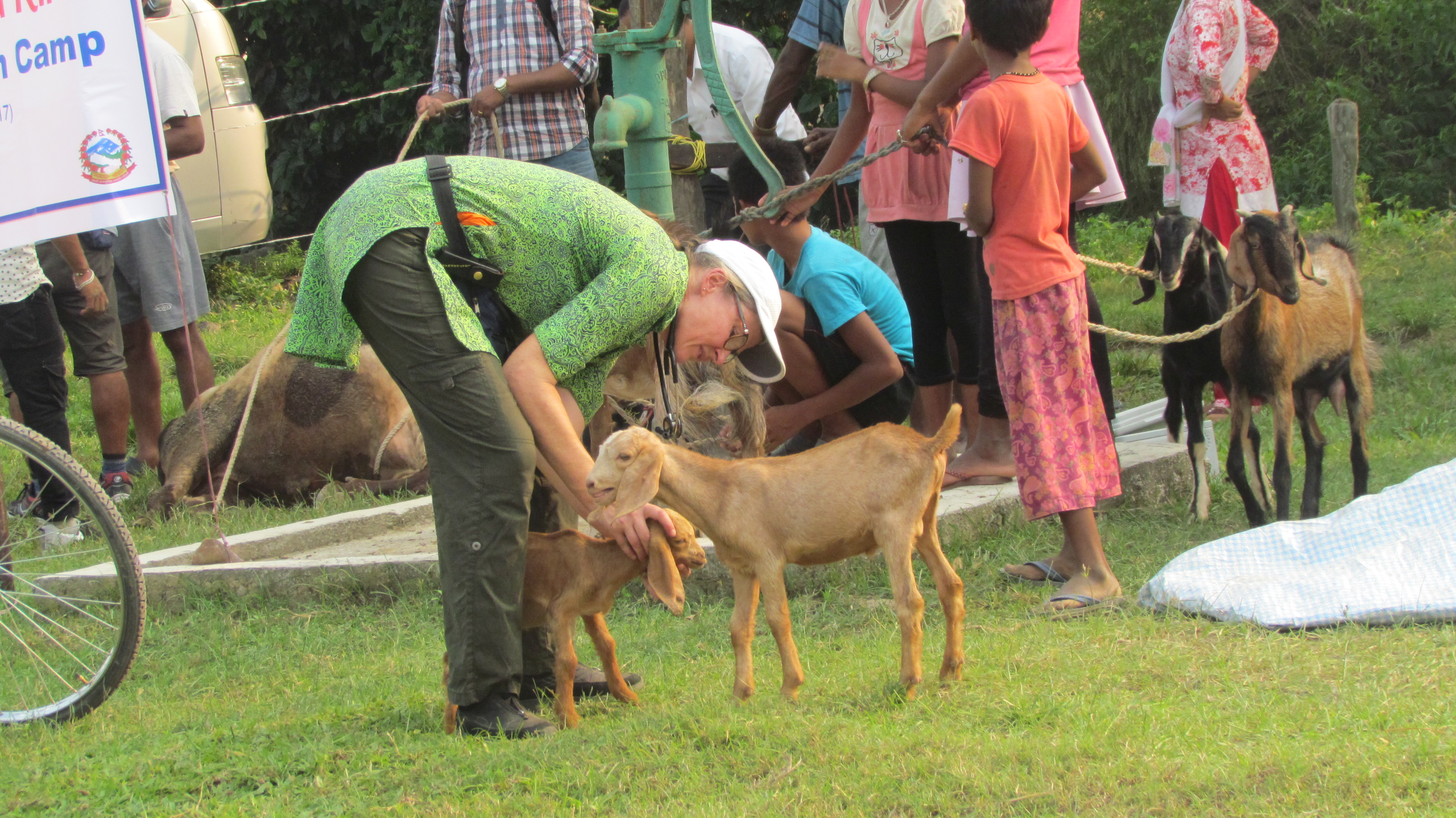 Free Animal Health Camp